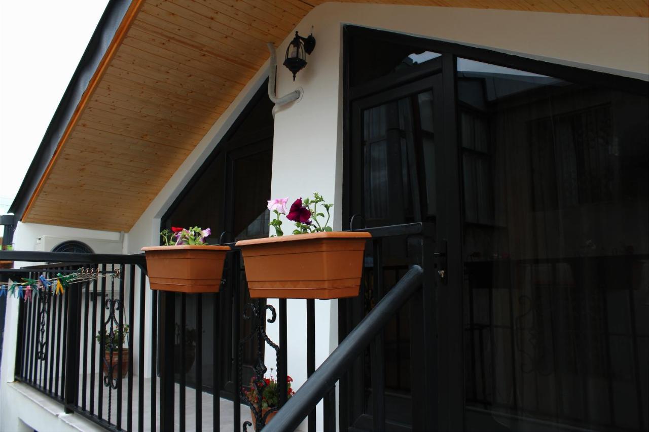 Nitsa Guest House Gori Exterior photo